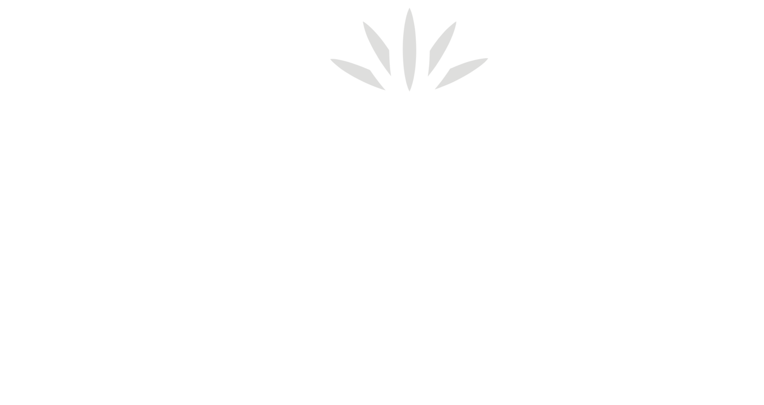 cropped-Logo_2020.1-1.jpg